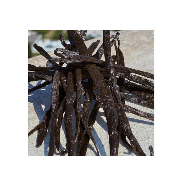 NWT Dolce & Gabbana DEVOTION Blue Jasmine Light Blue deluxe bottle 5pcs bundle - Picture 7 of 9